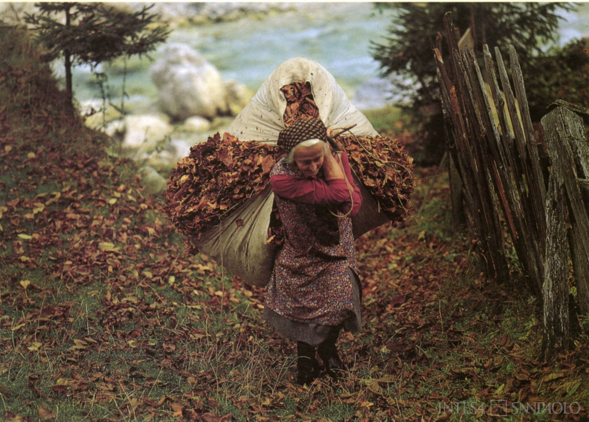 Cassa di Risparmio di Gorizia, la raccolta delle foglie sull'Isonzo, fotografia tratta da Relazioni e bilancio, 1992 (fotografo sconosciuto)