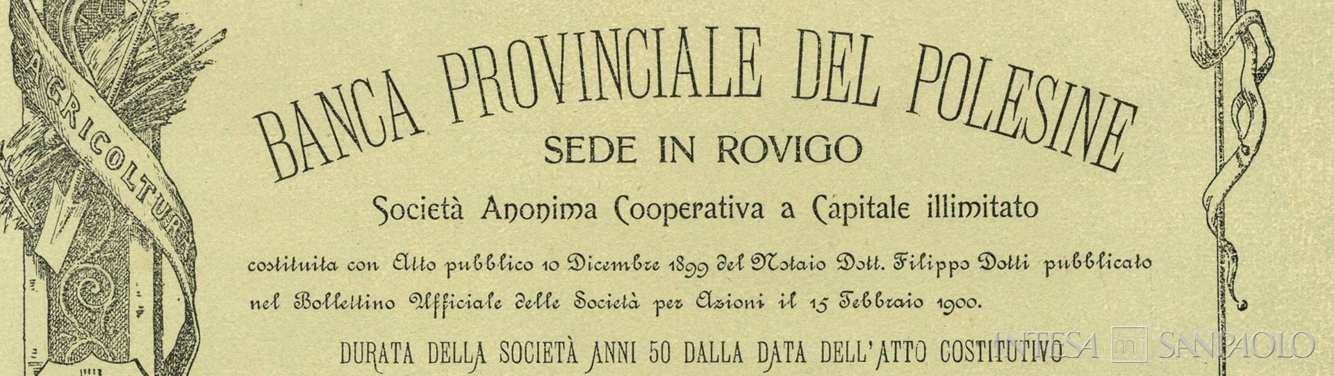Banca Provinciale del Polesine, dettaglio di titolo azionario, 1905