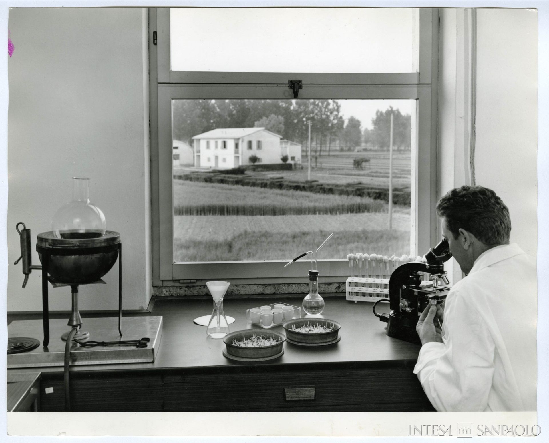 Cassa di Risparmio delle Provincie Lombarde, Centro Lombardo per l'incremento della floro-orto-frutticoltura di Vertemate con Minoprio, laboratorio di litogenetica, 1963-1968 (fotografia di Publifoto)